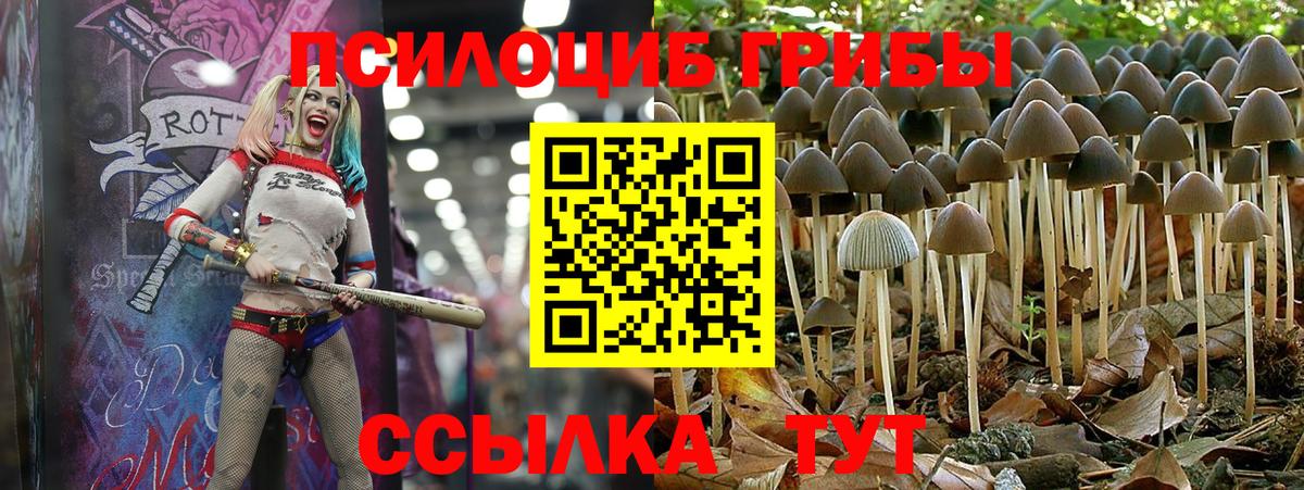 Галлюциногенные грибы мицелий  Псилоцибиновые грибы мицелий  Вход с VPN  Нерюнгри 